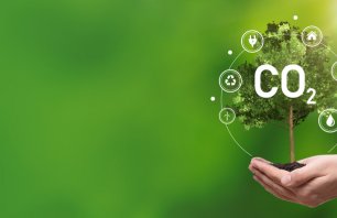 Carbon footprint, sustainable energy sources concept with tree on hand