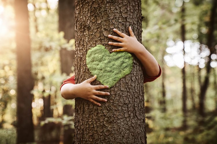 Person umarmt Baum mit grünem Liebesherz